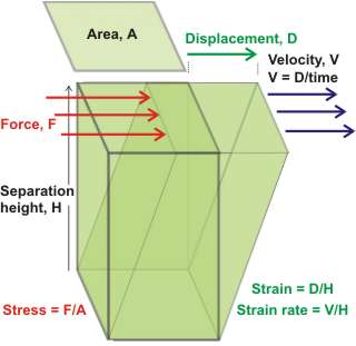 [Elastic and sliding components of the displacement caused by shear stress]
