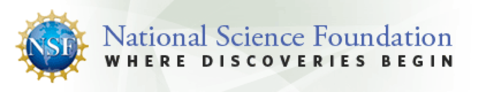 nsf logo